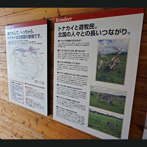 看板 トナカイについて