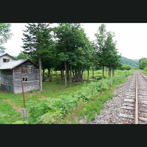 トロッコ王国美深 草原