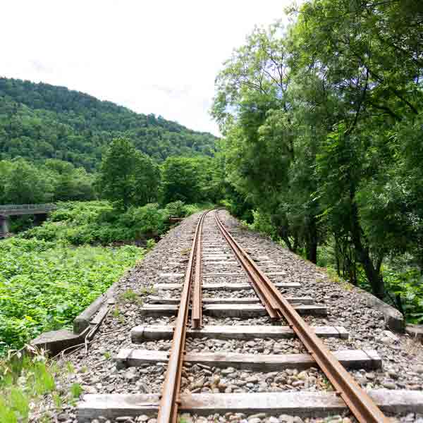 トロッコ王国美深 橋
