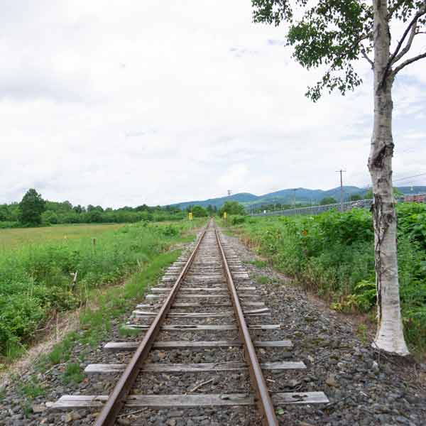 トロッコ王国美深 コース