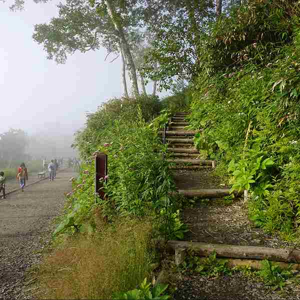 雲海テラス 山道