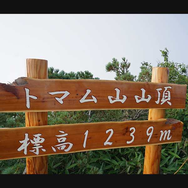 雲海テラス トマム山山頂