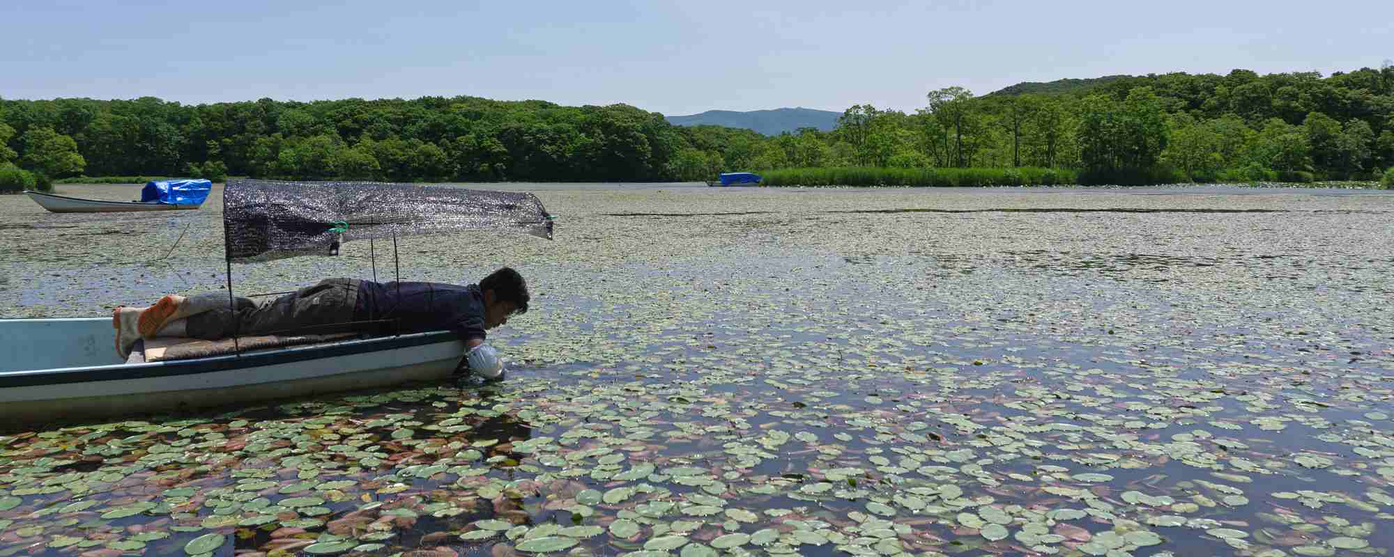 大沼公園