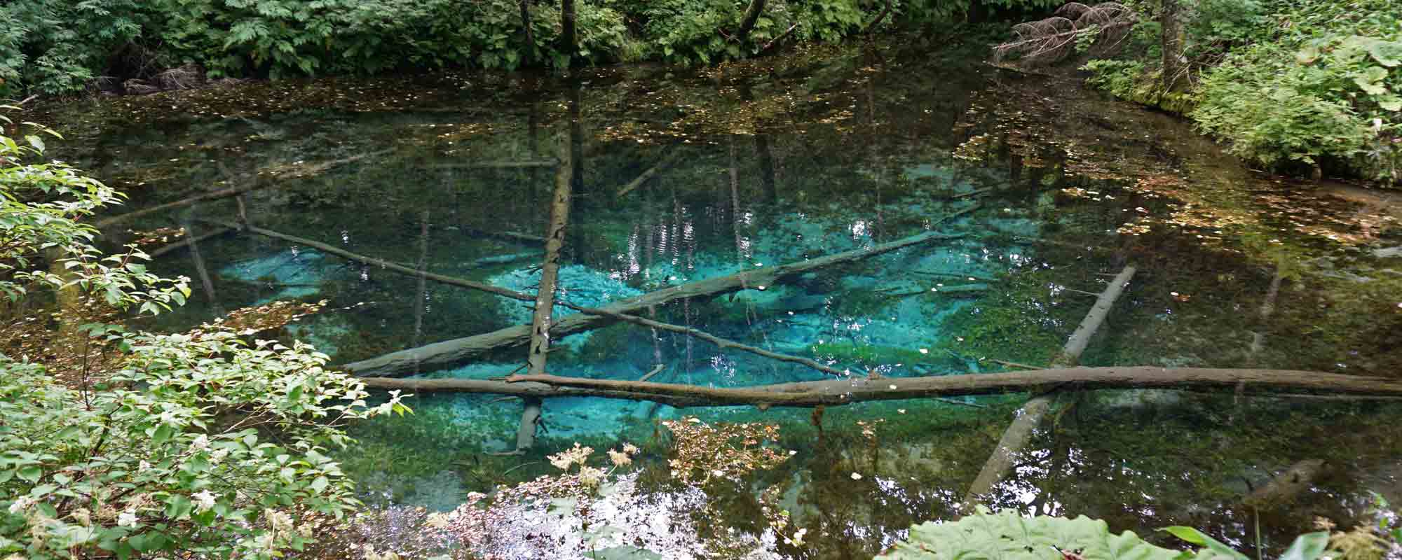 神の子池