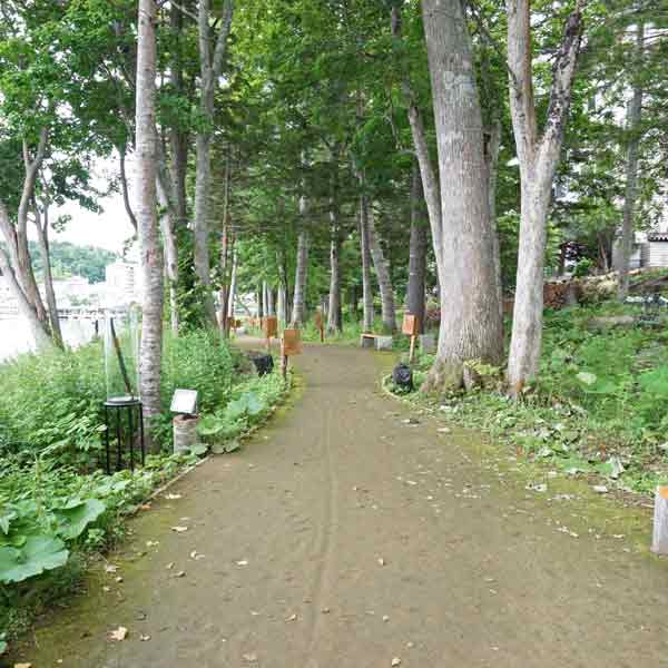 阿寒湖 遊歩道