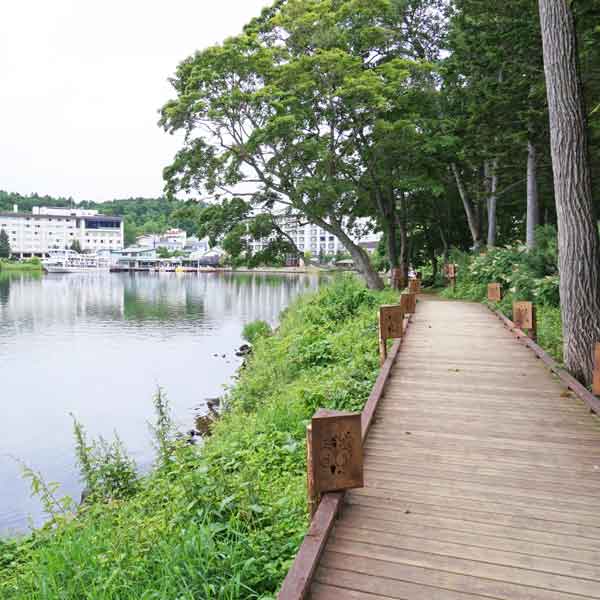 阿寒湖 遊歩道