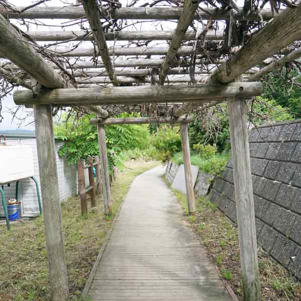 阿寒湖 ボッケ遊歩道