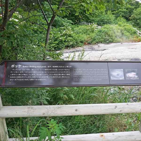 看板 ボッケについて