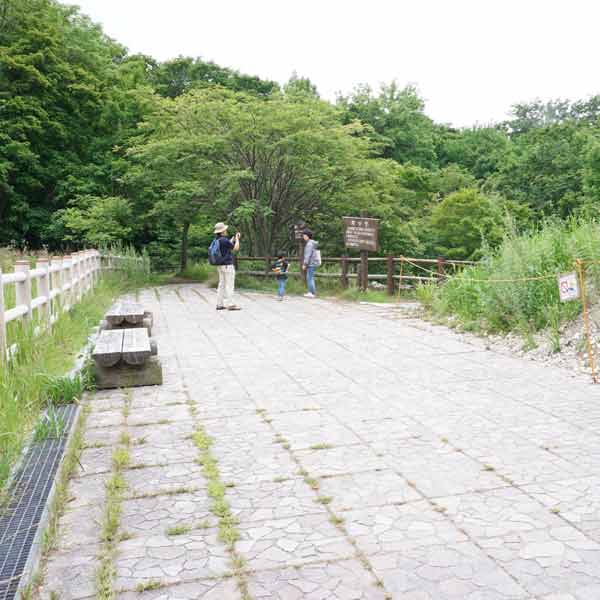 阿寒湖 遊歩道
