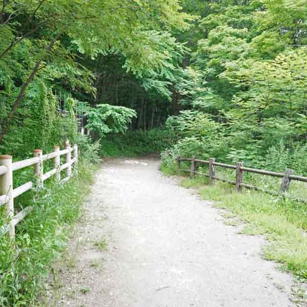 阿寒湖 遊歩道