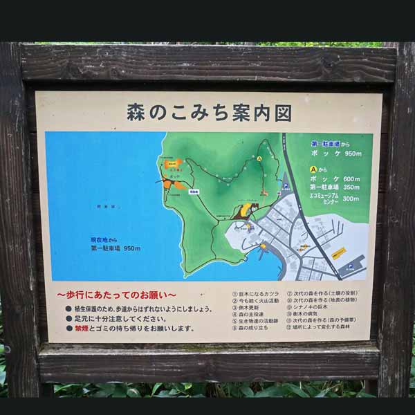 看板 森のこみち案内図