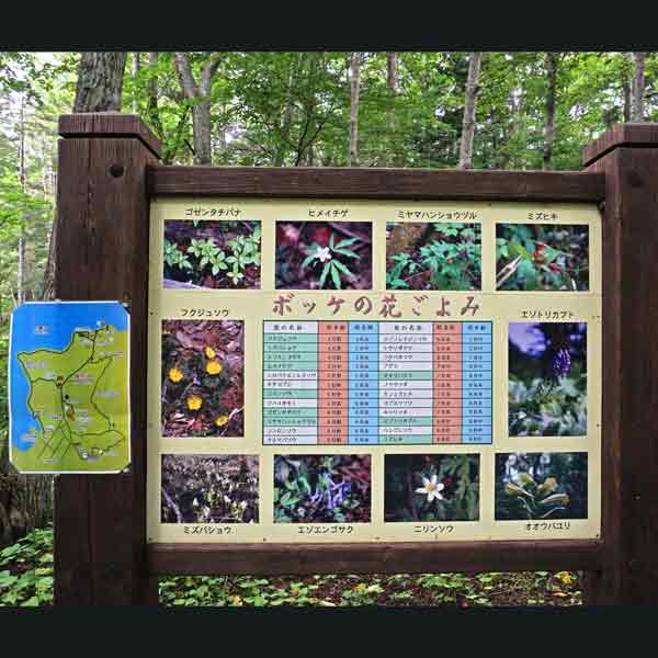 看板 ボッケの花ごよみについて