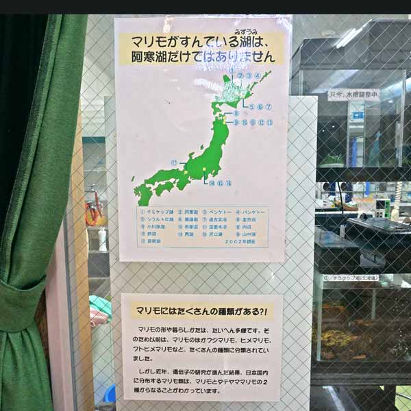 阿寒湖畔エコミュージアムセンター マリモの生息地について