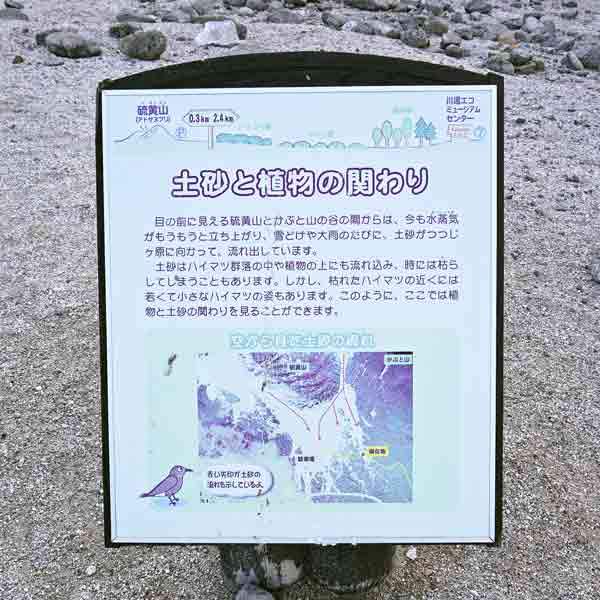 看板 土砂と植物の関わりについて