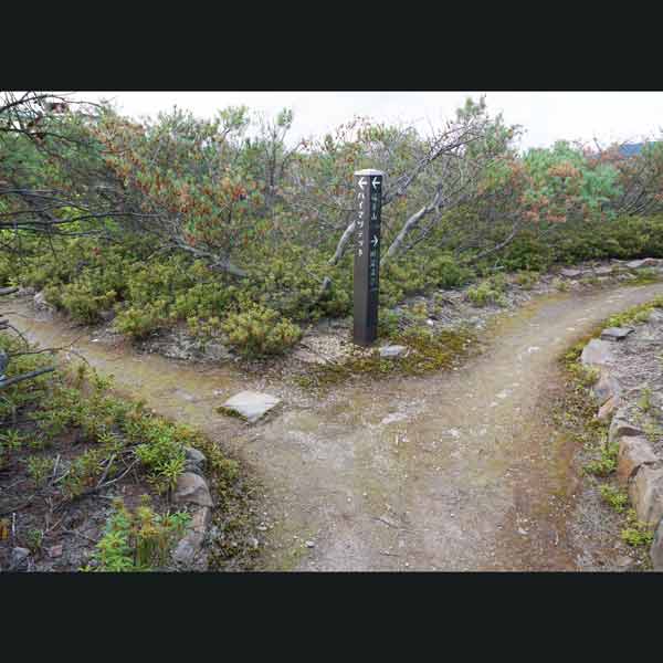 アトサヌプリ 分岐