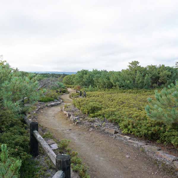 アトサヌプリ つつじヶ原探勝路