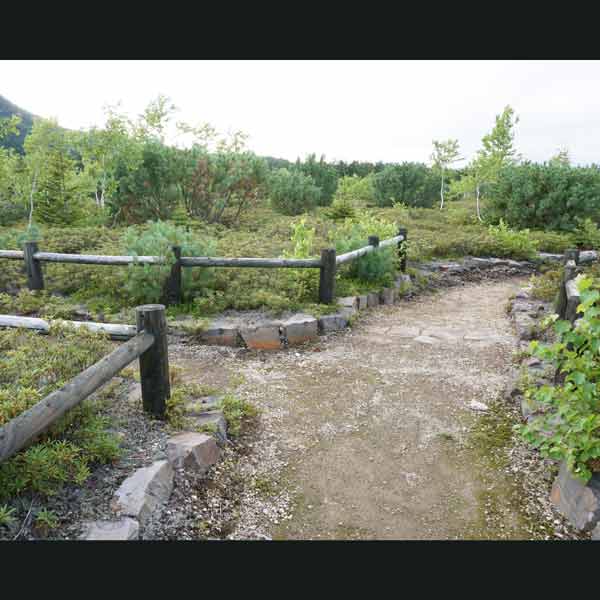 アトサヌプリ 分岐