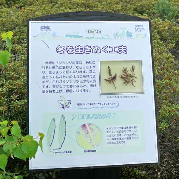 看板 冬を生きぬく工夫について
