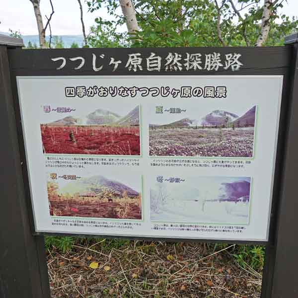看板 四季がおりなすつつじヶ原の風景について