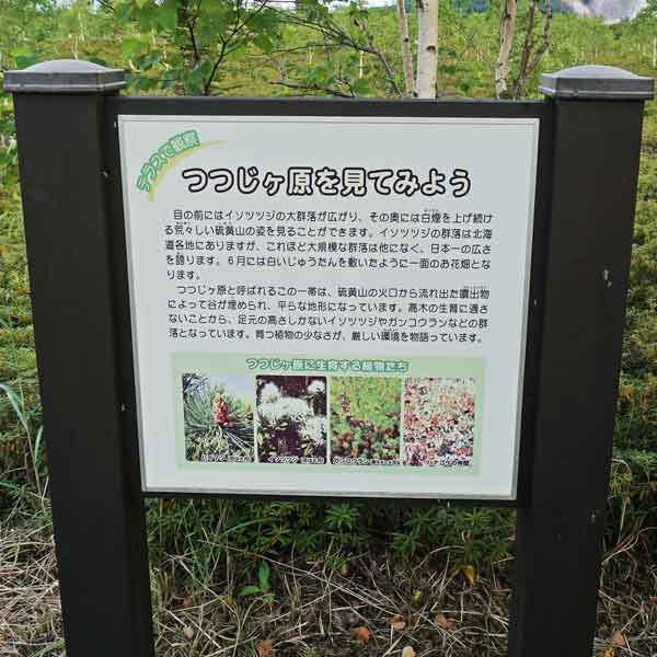 看板 つつじヶ原を見てみようについて