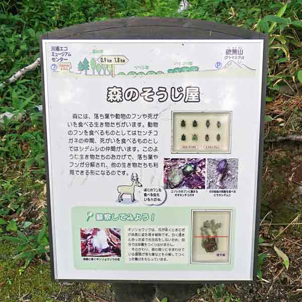 看板 森のそうじ屋について