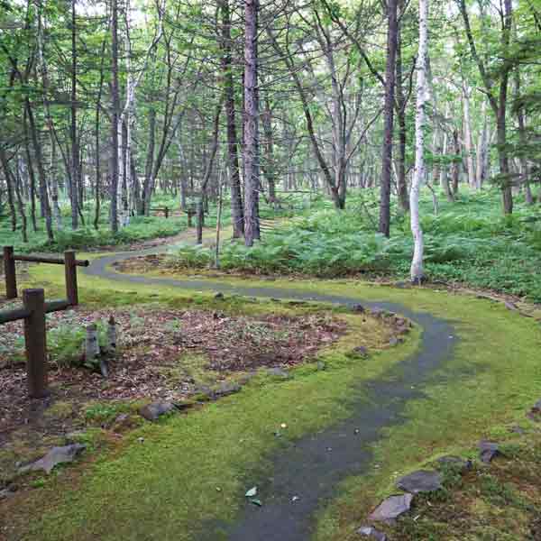 アトサヌプリ つつじヶ原探勝路