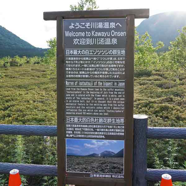 看板 日本最大の白エゾツツジの群生地について