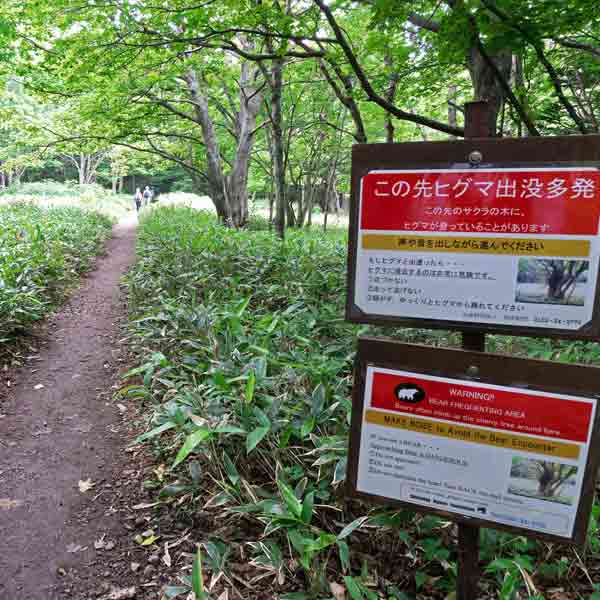 看板 この先ヒグマ出没多発について