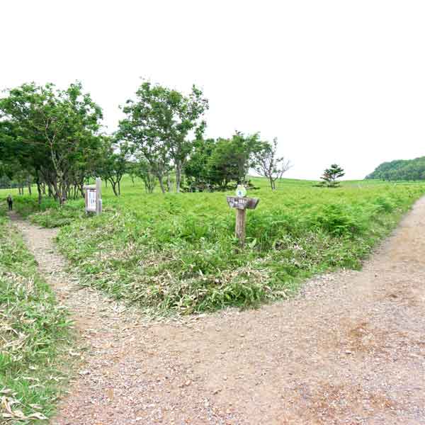 フレペの滝遊歩道