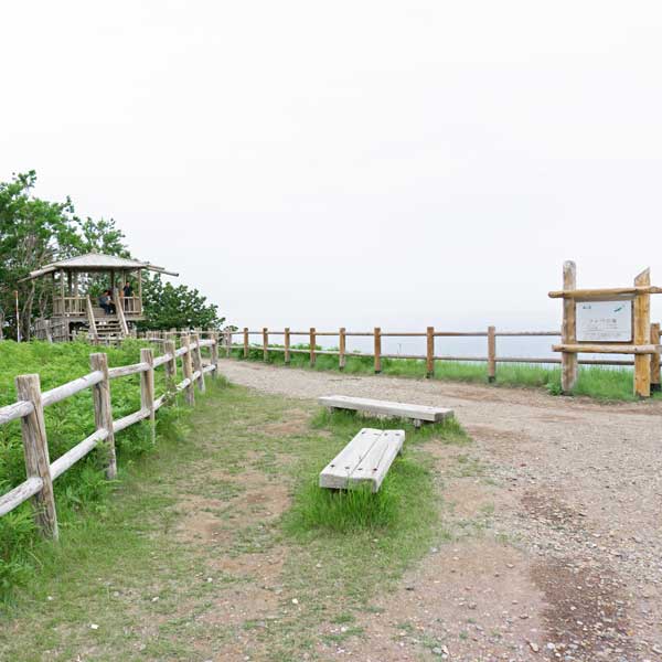 フレペの滝展望台