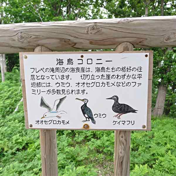 看板 海鳥コロニーについて