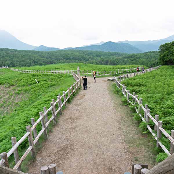 フレペの滝 エゾシカの餌場