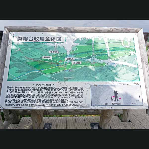 看板 開陽台牧場全体図