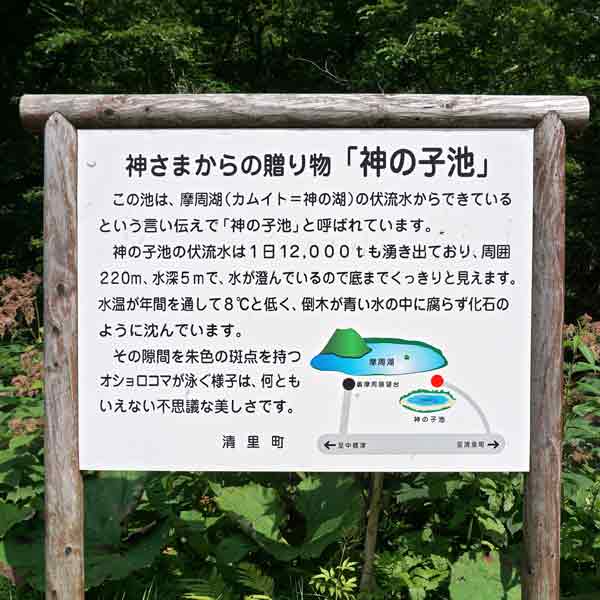 看板 神の子池について