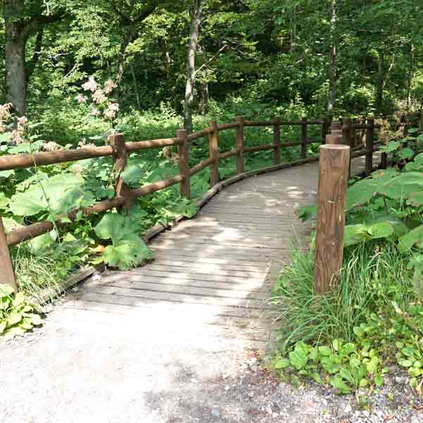 神の子池 遊歩道出入口