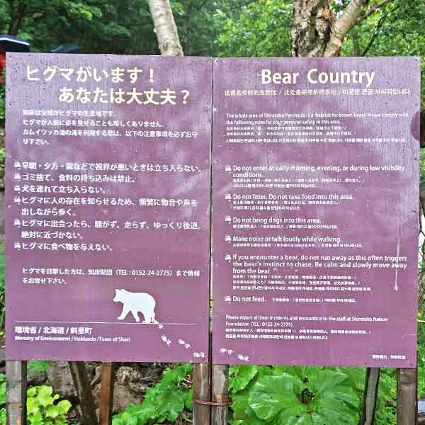 看板 ヒグマについて