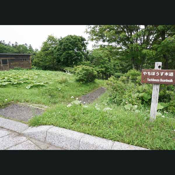霧多布湿原 遊歩道出入口