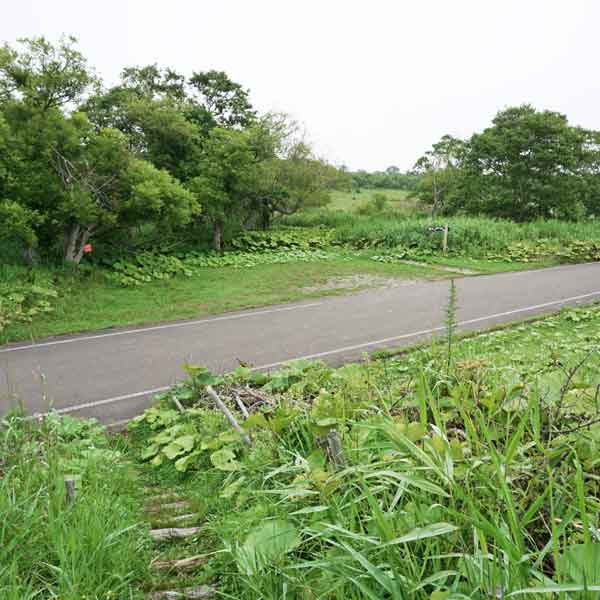 霧多布湿原 やちぼうず木道出入口