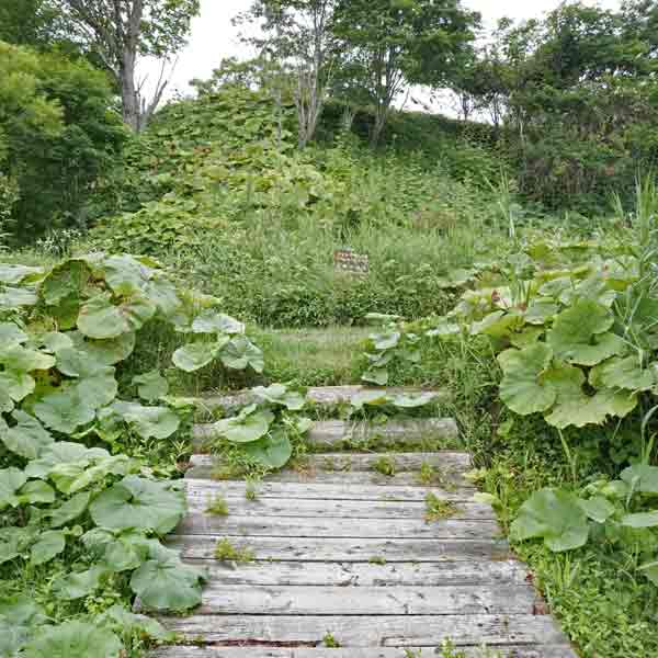 霧多布湿原 木道出口