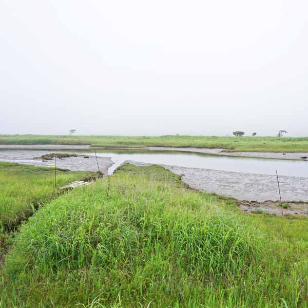 霧多布湿原 泥川