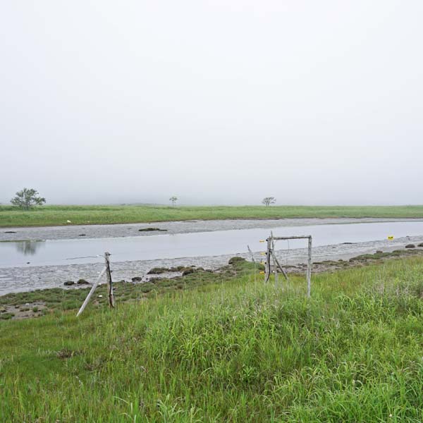 霧多布湿原 泥川