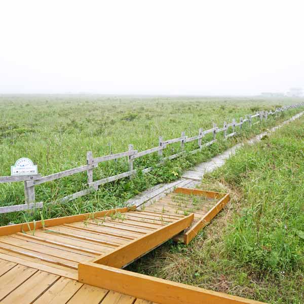 霧多布湿原 仲の浜木道出入口