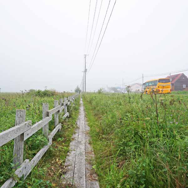 霧多布湿原 仲の浜木道