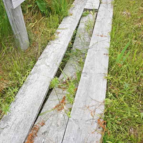 霧多布湿原 仲の浜木道