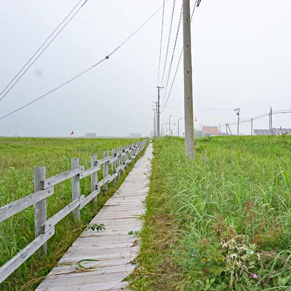 霧多布湿原