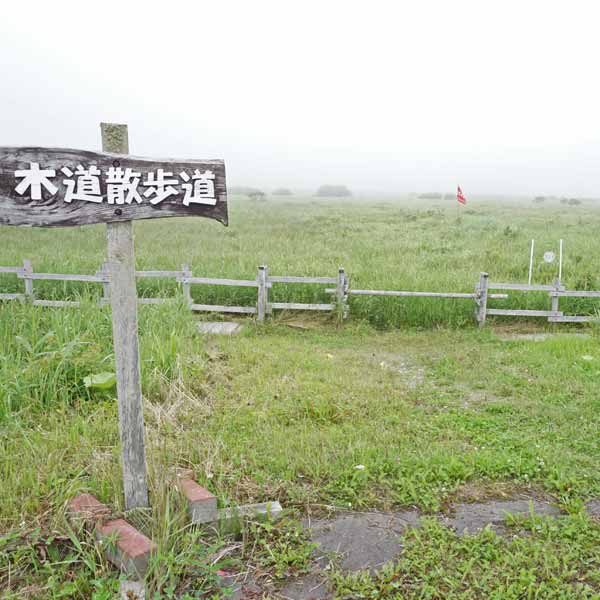エゾカンゾウ群生地駐車場