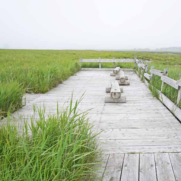 霧多布湿原 展望スペース