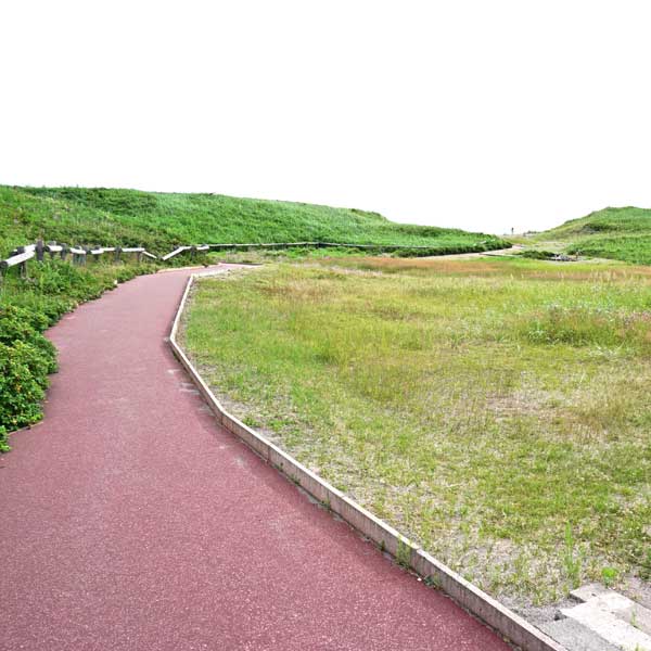 小清水原生花園 遊歩道