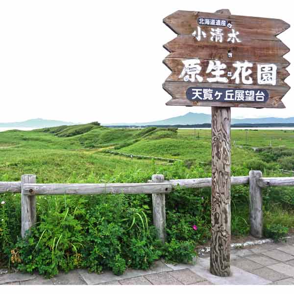 小清水原生花園 天覧ヶ丘展望台