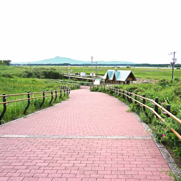 小清水原生花園 遊歩道